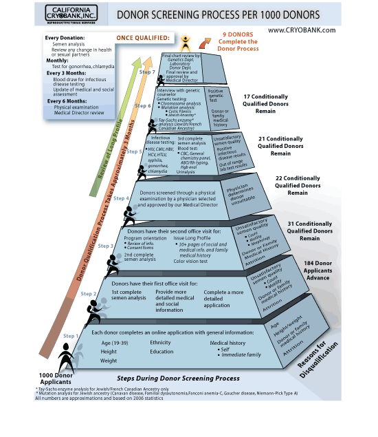 Donor Screening Pyramid - California Cryobank
