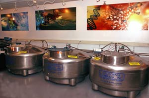California Cryobank Cryo Storage Tanks